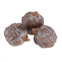 Artikel Wacholderzapfen Syischer Wacholder Natur Ø1,5–2,5cm 1kg