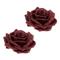 Wachsrose Dunkelrot Ø10cm 6St