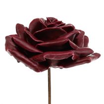 Wachsrose Dunkelrot Ø10cm 6St