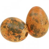 Artikel Ausgeblasene Wachteleier Dekoration Eierschale Orange Apricot 3cm 50 Stück
