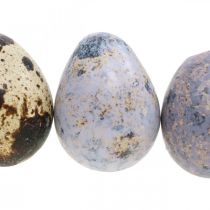 Wachtelei Mix Lila, Violett, Natur Leere Eier als Deko 3cm 65St