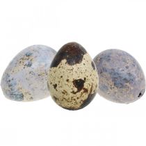 Wachtelei Mix Lila, Violett, Natur Leere Eier als Deko 3cm 65St