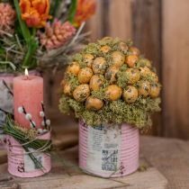 Artikel Wachteleier Deko Ausgeblasene Eier Orange Apricot 3cm 50 St