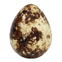 Artikel Ausgeblasene Wachteleier Natur 3cm 50 Stück Dekoration