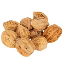 Artikel Walnüsse Naturprodukt 4–5 cm Naturbraun 300 g für Dekoration