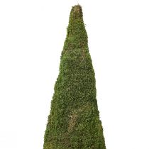 Artikel Weihnachtsbaum Moos Deko, Grün, Ø25cm, H70cm