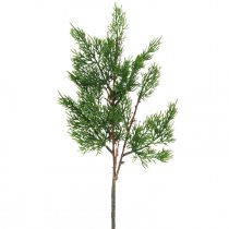 Weihnachtszweige Zypresse Dekozweig Zypressenzweige 50cm 4 St