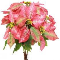 Artikel Weihnachtsstern Rot Rosa Christstern Künstlich L53cm