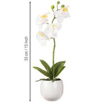 Artikel Weiße künstliche Orchidee im Keramiktopf Phalaenopsis H33 cm