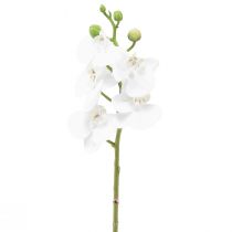 Artikel Weiße Orchidee Künstlich Phalaenopsis Real Touch 32cm
