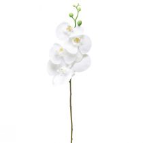 Artikel Weiße Orchidee Künstlich Phalaenopsis Real Touch 85cm