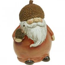 Wichtel Figur mit Eichel und Igel Dekofigur Herbst Braun H19cm