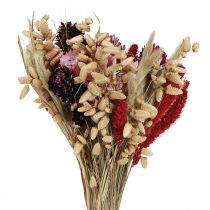 Artikel Wildblumenstrauß Trockenblumen in Natur Pink L30cm