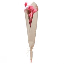 Artikel Wilde Karde Trockendeko Rosa Disteln 53cm 10 Köpfe