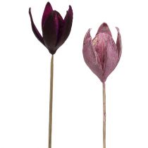 Wildlilie zum Dekorieren am Stiel Mix Rosa, Erika 45St