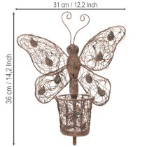 Artikel Windlicht Wanddeko Metall Schmetterling Rostoptik 36,5cm