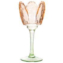 Artikel Teelichthalter Glas 20 cm Tulpenform Orange für Innenbereiche