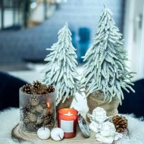 Winter-Tanne im Topf, Weihnachtsdeko, Tannenbaum mit Schnee H45cm