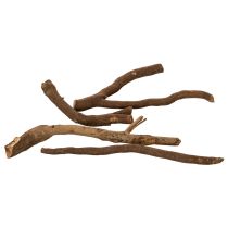 Artikel Deko Holzäste naturgetrocknet 18 cm 500 g für floristische Gestaltung