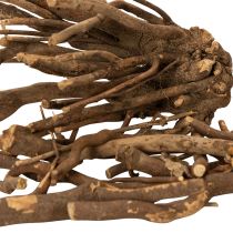Artikel Deko Holzäste naturgetrocknet 18 cm 500 g für floristische Gestaltung