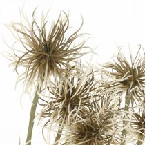 Artikel Xanthium Kunstblume 80cm Creme Braun Set mit 3 Stück für Herbstdekoration