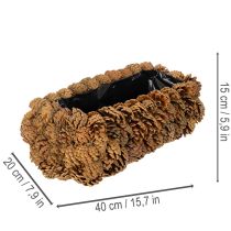 Artikel Rechteckiger Pflanzkasten aus Tannenzapfen 40 cm Naturbraun für Bepflanzung