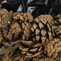 Artikel Dekorativer Zapfenkorb aus künstlichen Kiefernzapfen mit Kunststoffeinsatz