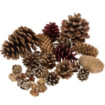 Artikel Zapfenmix Natur 400g