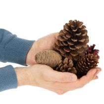 Artikel Zapfenmix Natur 400g