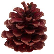 Artikel Zapfenmix Natur 400g