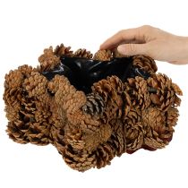 Artikel Tannenzapfen-Pflanztopf Sternform 30cm naturbraun