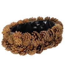 Artikel Pflanzschale aus Tannenzapfen oval 30 cm naturbraun
