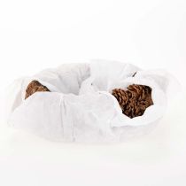Artikel Pflanzschale aus Tannenzapfen oval 30 cm naturbraun