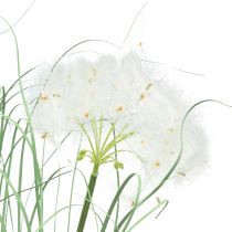 Ziergras mit weißen Samen Grün H73cm