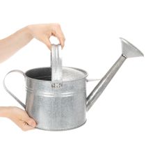 Artikel Zink-Gießkanne 5L, 27cm, Metall, Vintage, für Garten und Terrasse