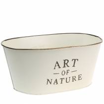 Blumenschale oval Zink Creme 27×18cm H12,5cm