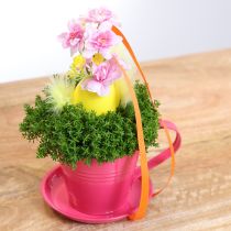 Artikel Metall-Tasse mit Untersetzer zum Bepflanzen, 11 cm, Rosa, Set aus 6 Stück