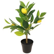 Artikel Zitronenbäumchen künstlich Zitronenbaum im Topf H40cm