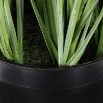Artikel Künstliche Pflanze mit zarten Blüten, 67 cm, Lila und Grün, im Kunststofftopf