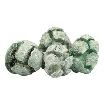 Artikel Zypressenzapfen Naturdeko Grün Ø 1,5–3 cm 500 g