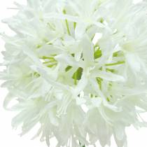 Zierlauch Allium künstlich Weiß Ø12cm H62cm