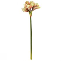 Artikel Künstliche Amaryllis Blume in Rosa und Gelb – 66 cm – Ideale Geschenkidee und stilvolle Dekoration für Innenräume