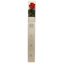 Artikel Konservierte Infinity Rose mit Blättern Rot 54cm