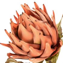 Artikel Artischocke Kunstblume Orange Ø15cm 73cm trocken wirkend