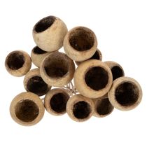 Artikel Bell Cup Mix am Stiel, Natur, 15 Stück, Ø 4–5,5 cm