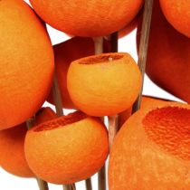Bell Cup Mix am Stiel Orange 15St