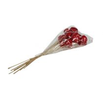 Artikel Bell Cup Naturdeko Rot am Stiel, Ø 4–6 cm, 15 Stück