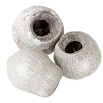 Artikel Getrocknete dekorative Glockenfrüchte Bellcups weißgewaschen 500g