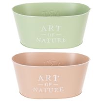 Artikel Blumenschale oval Zink 27×18×12,5cm Pastellfarben für Innen und Außen