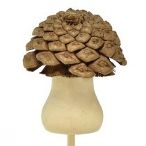 Artikel Blumenstecker Zapfen Pilz Deko Stecker Advent 4,5cm 12 St